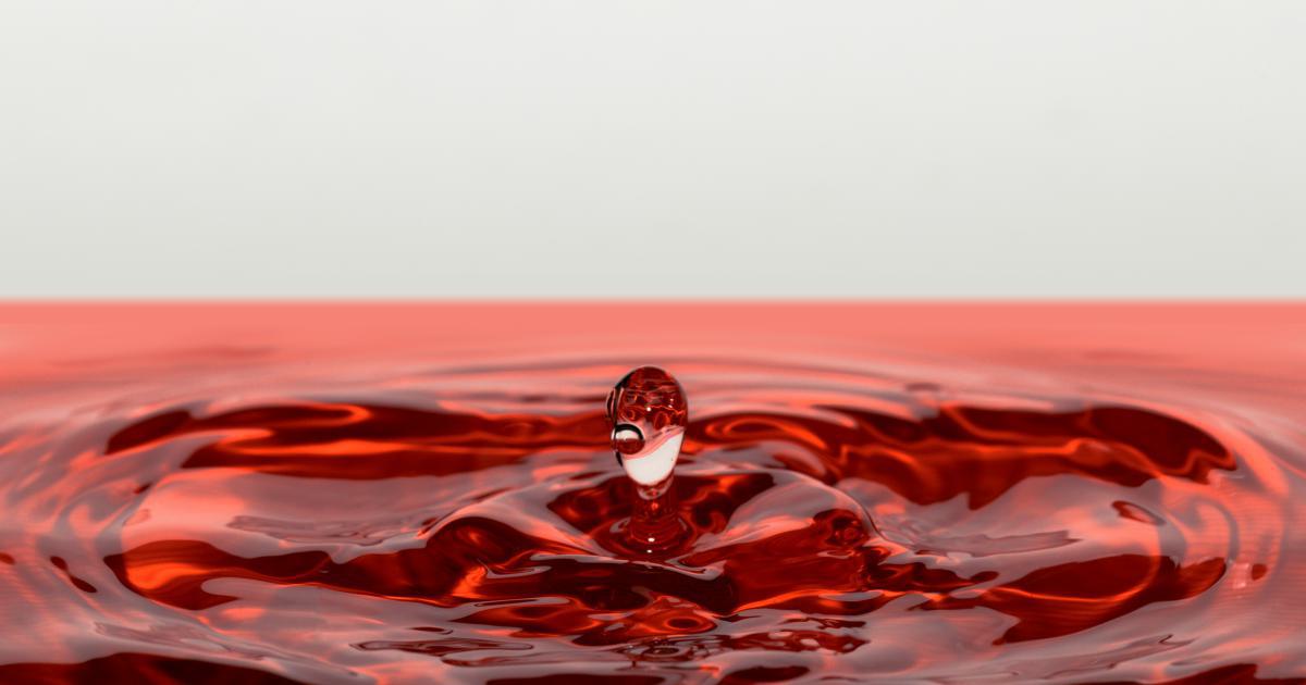 Illustration de la circulation sanguine