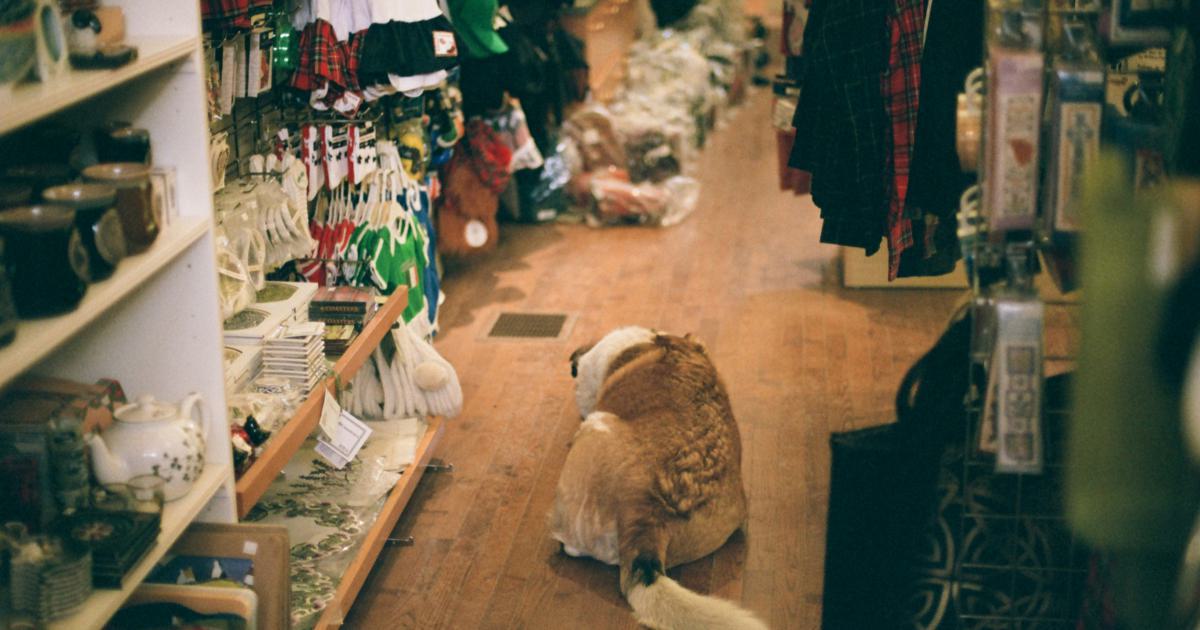 Essai du matelas en magasin
