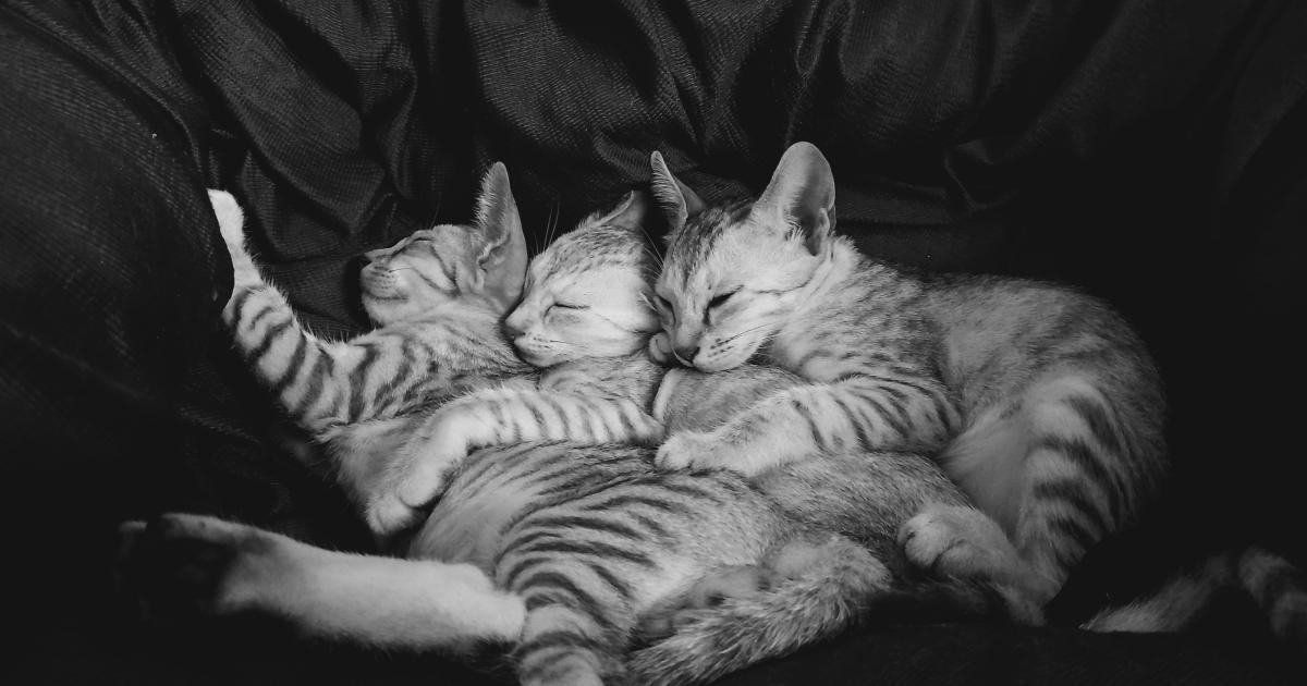 Homme, femme et enfant sur un lit