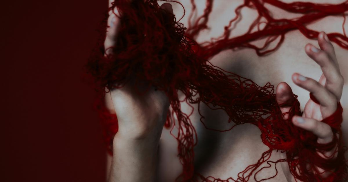 Schéma de la circulation sanguine
