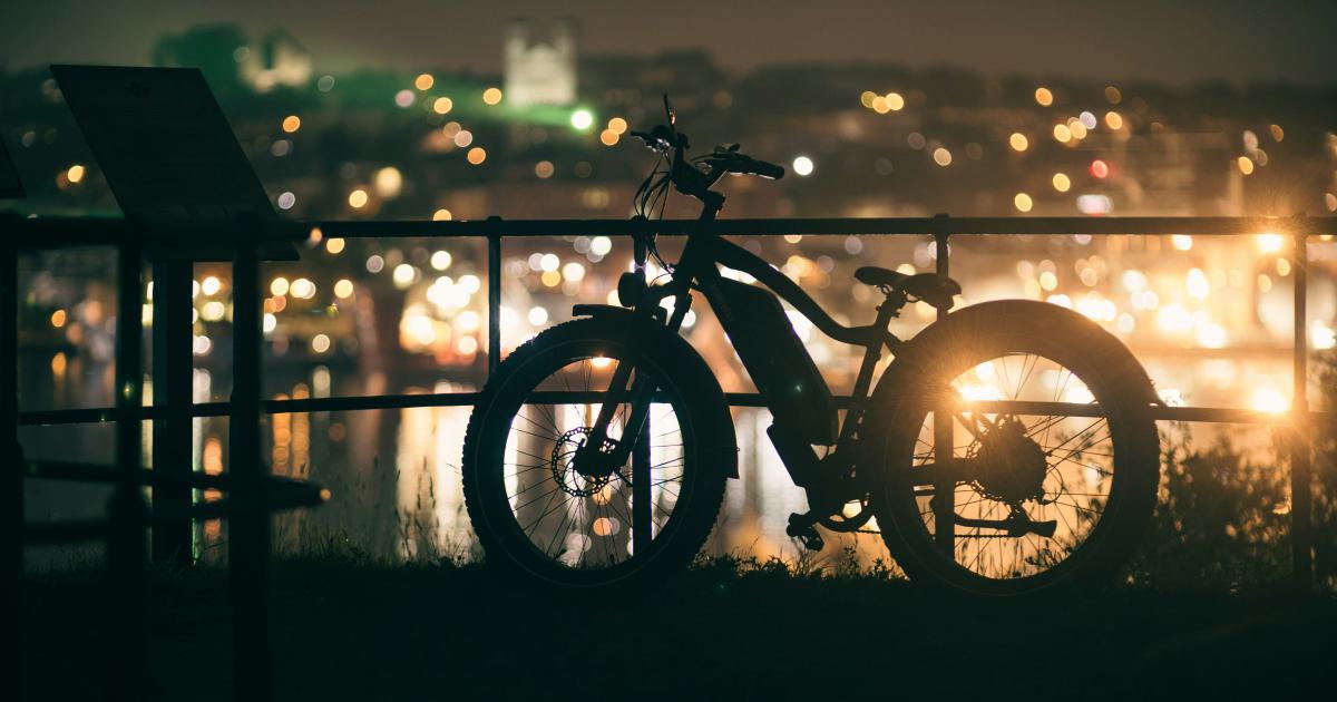 Cycle de vie des acariens