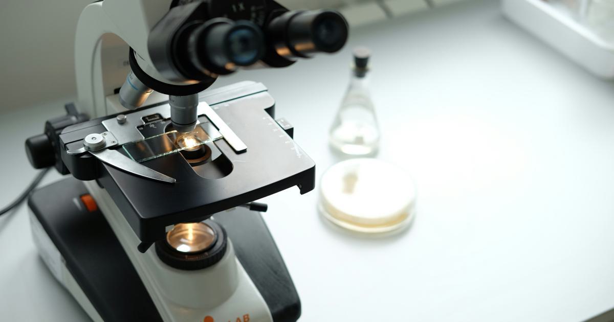 Acariens microscopiques