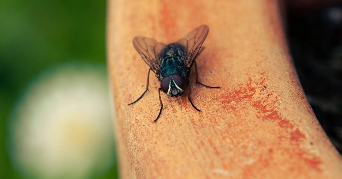 Personne souffrant d'allergie