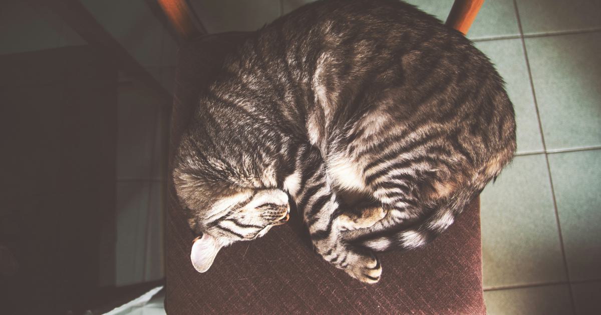 Positions de sommeil