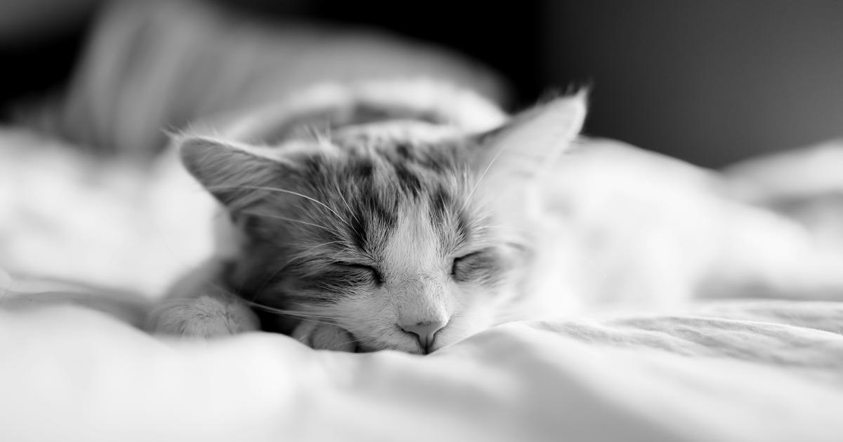 Good Night's Sleep