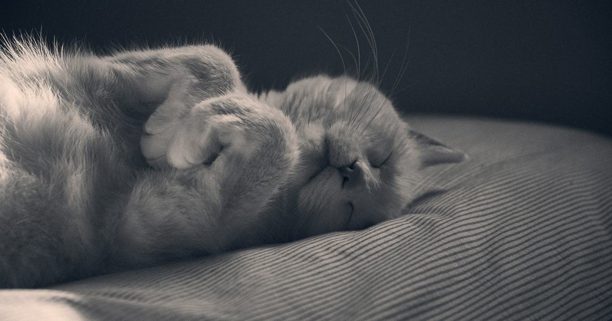 Sleeping Positions