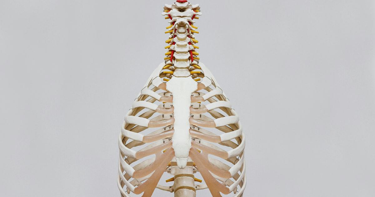 Spine Alignment