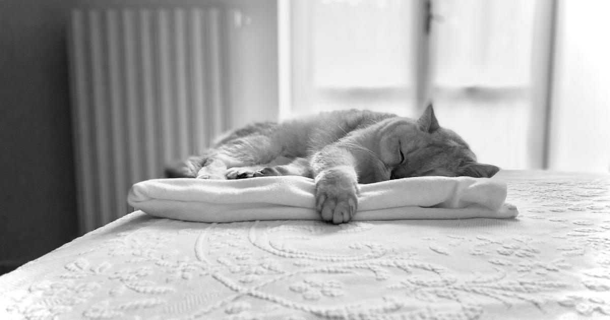 Protège-matelas