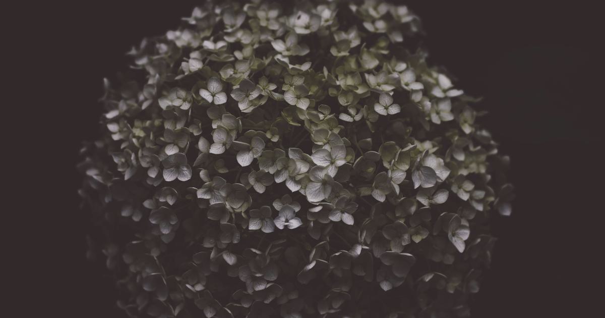 Bicarbonate de soude