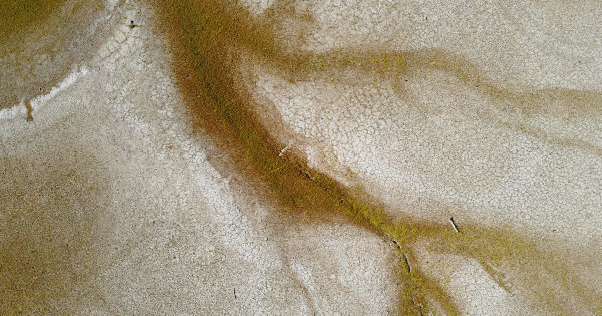 Femme nettoyant une tache sur un matelas