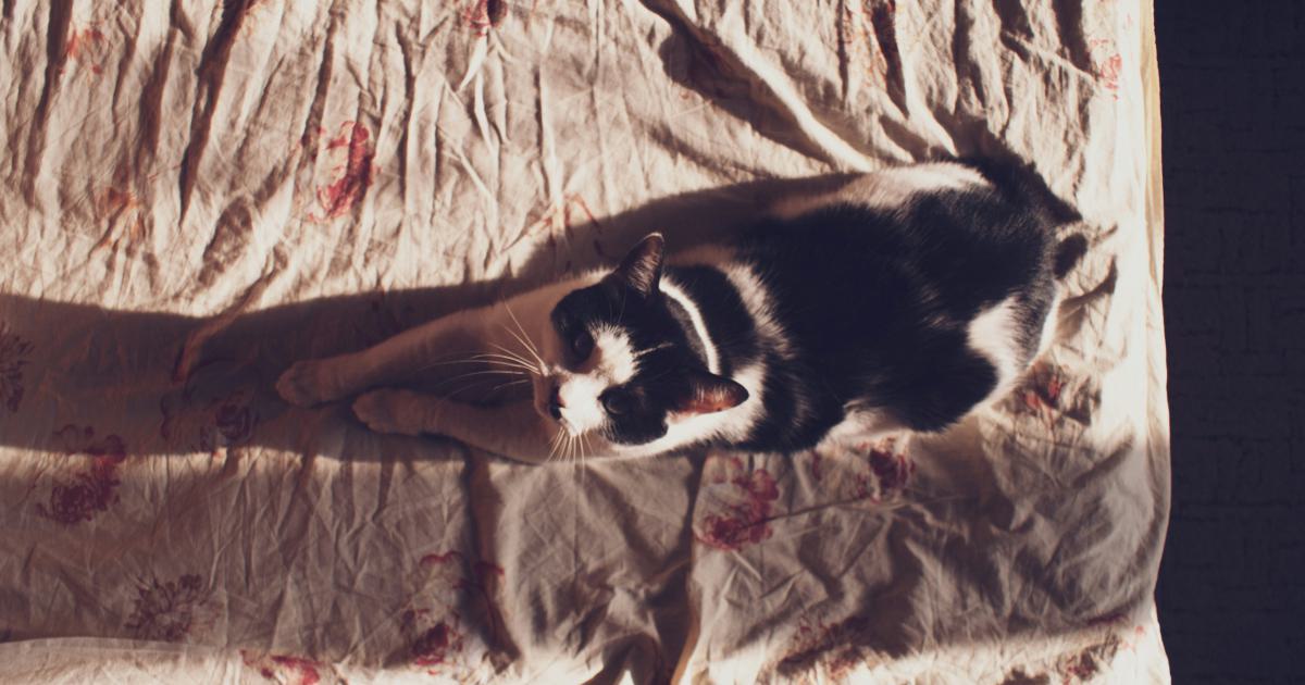 Surmatelas sur un lit