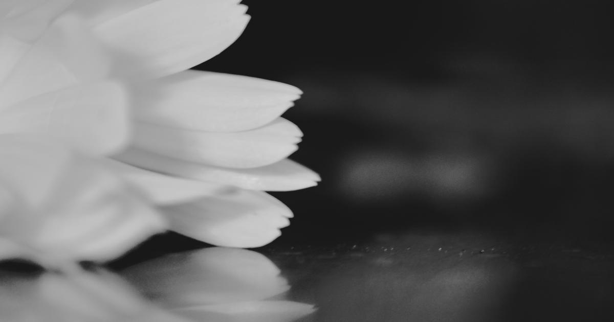 Mousse latex