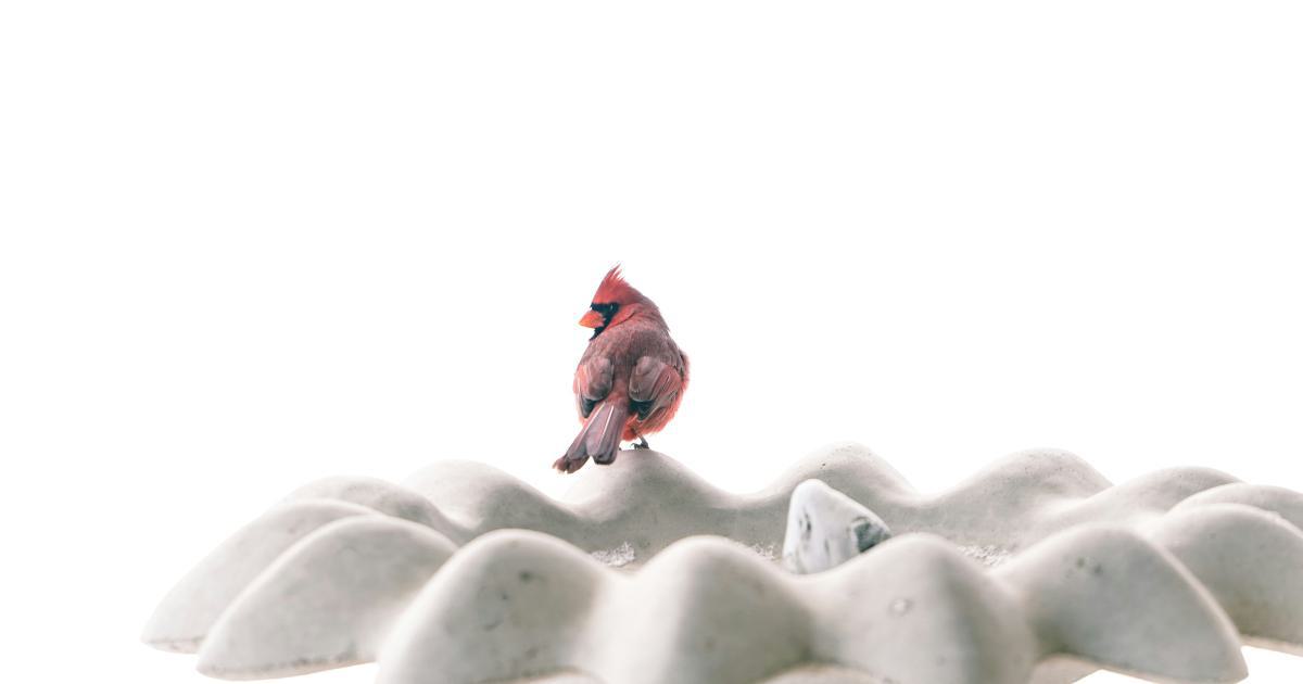 Personne sautant sur un matelas mousse mémoire