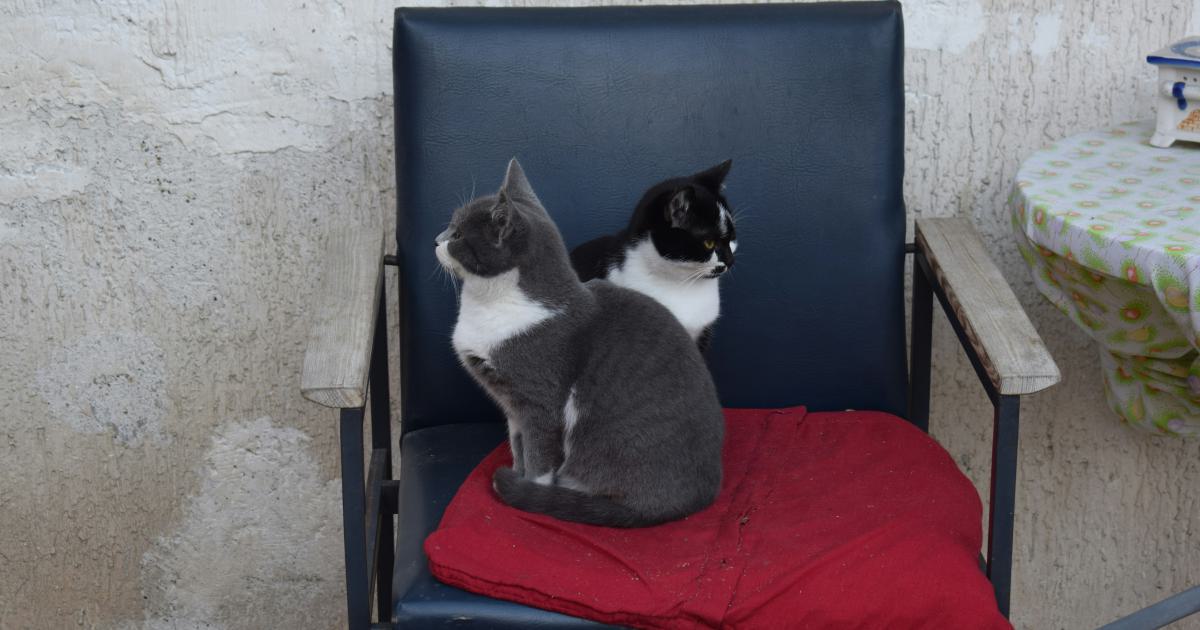Choisir le meilleur futon pliant et épais