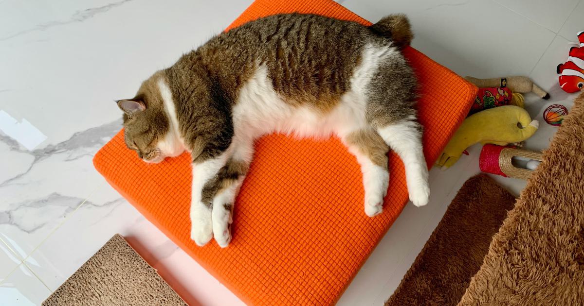 Personne allongée sur un matelas à ressorts biconiques