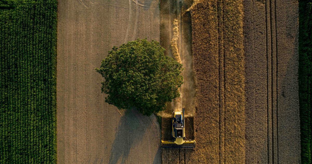 Sustainable Farming