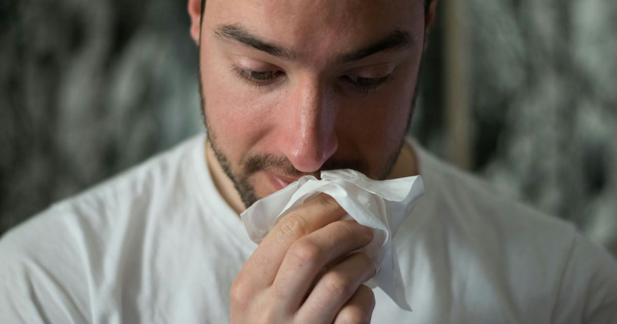 Résistance aux Allergènes