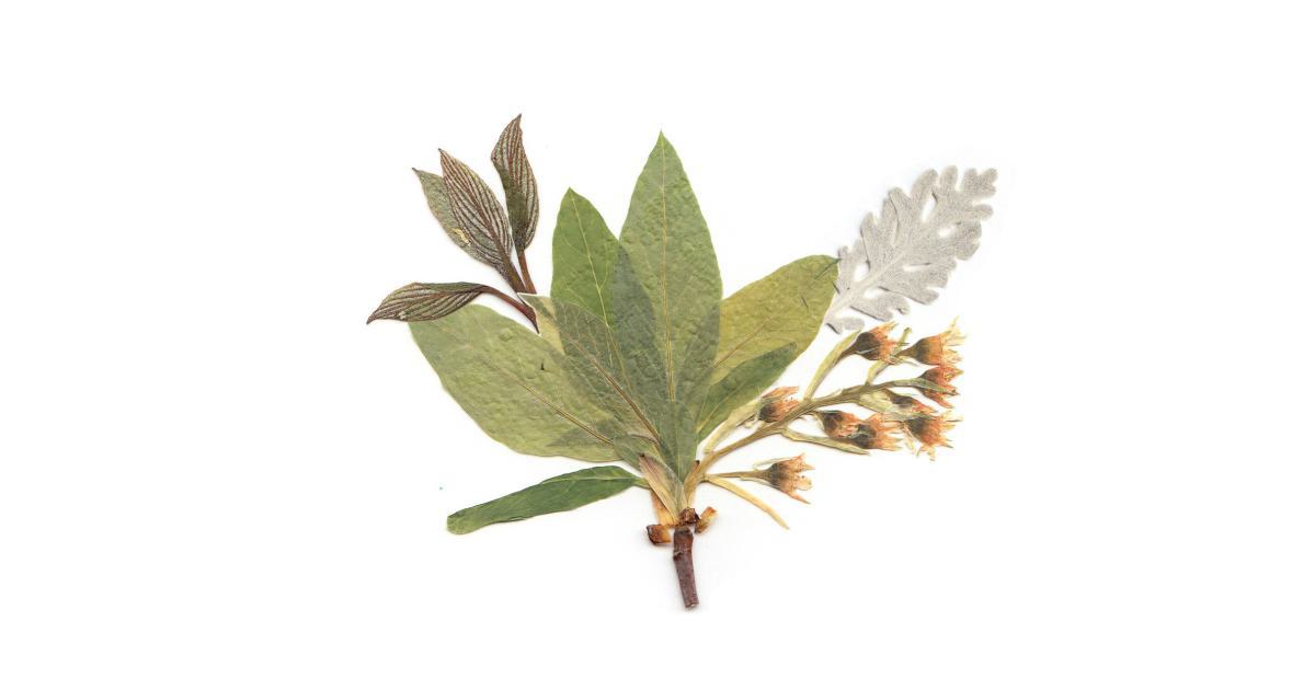 Nurserie avec accessoires de literie bio