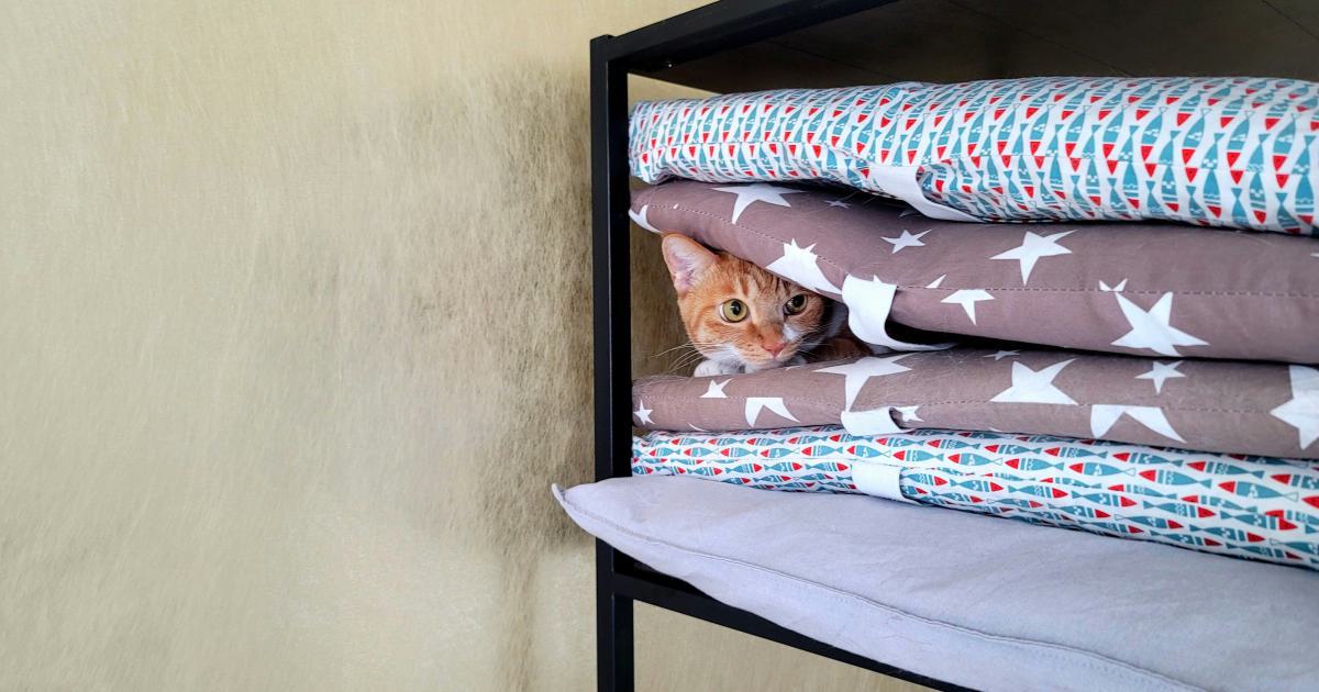 Comparatif des meilleurs matelas bébé pour cododo