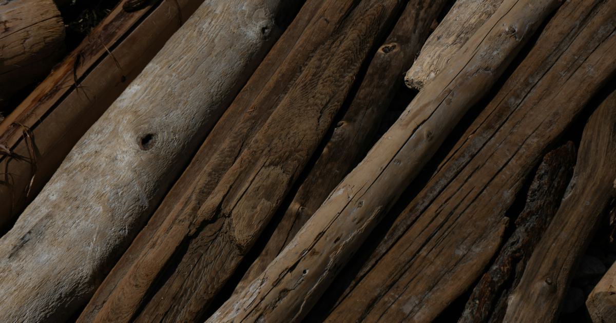 Gros plan sur des fibres de bambou