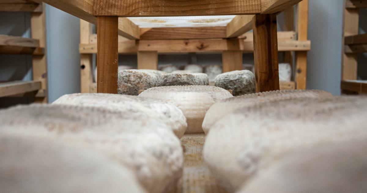 Gros plan sur la structure d'un matelas futon épais