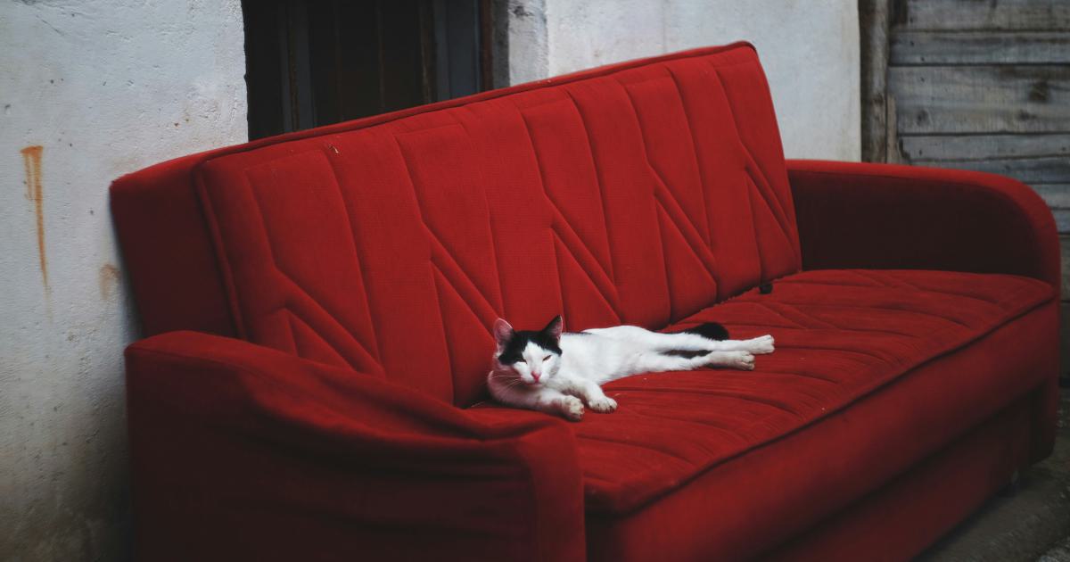 Futon pliant en bois