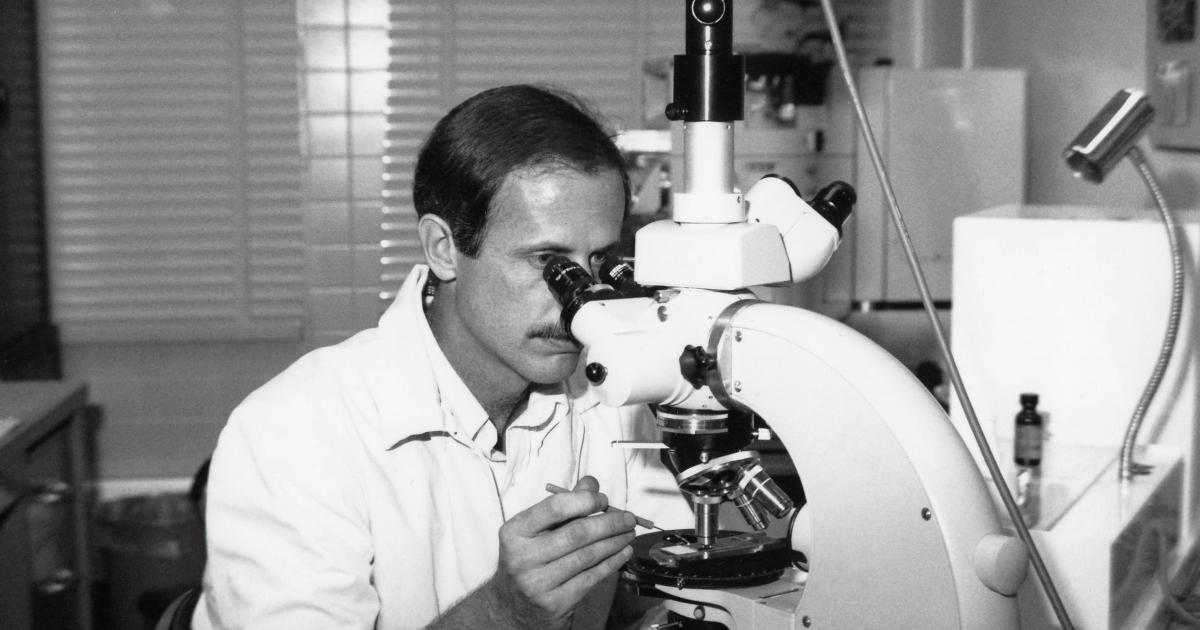 Acarien vu au microscope