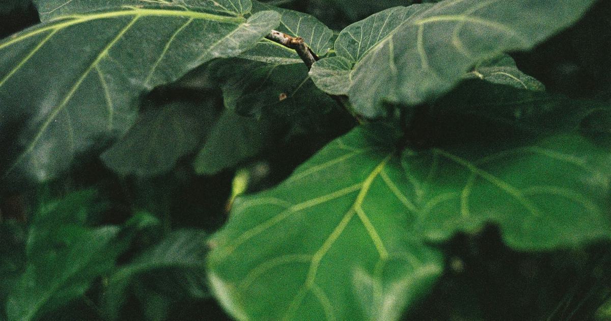 Illustration d'un matelas hybride avec des matériaux écologiques