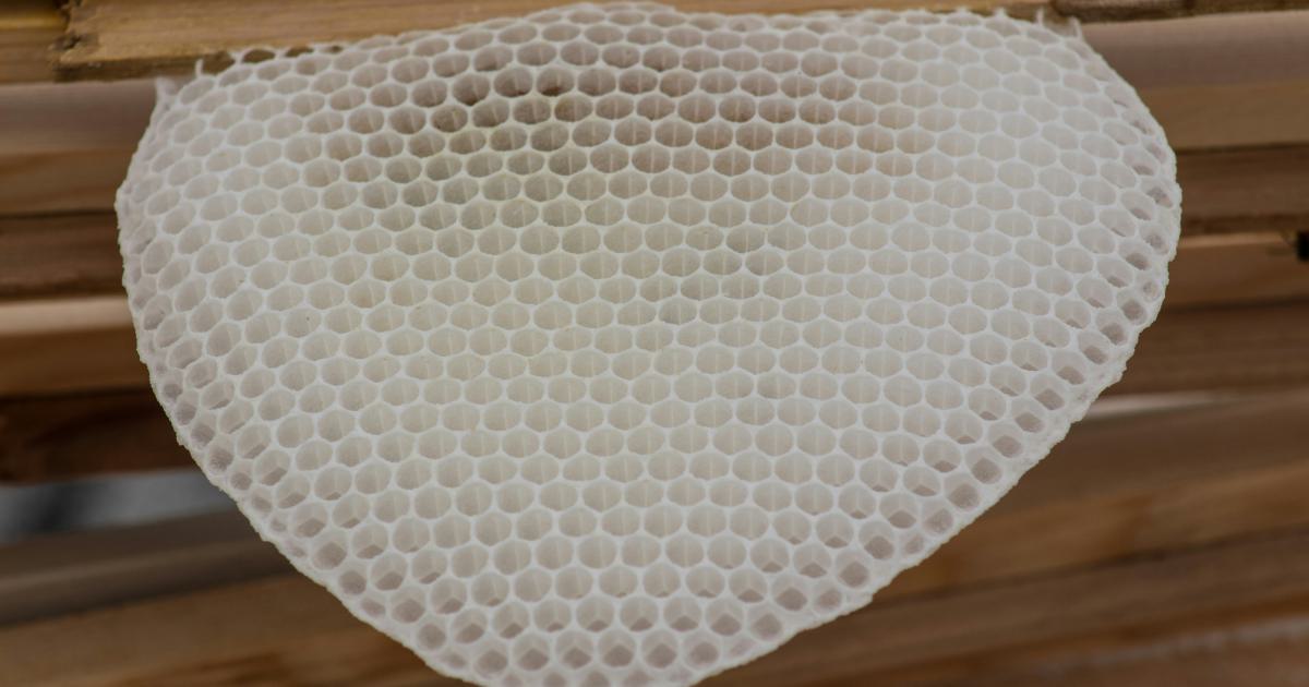Gros plan sur le matériau résistant à l'eau d'un matelas gonflable flottant