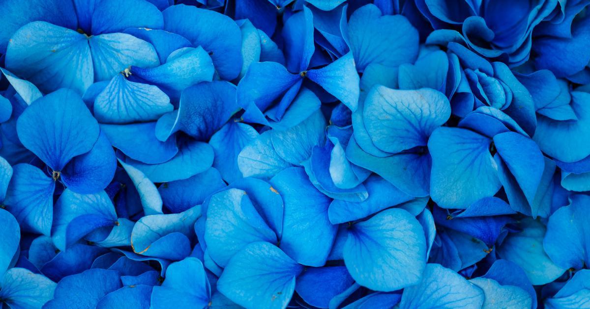 Combinaison de velours bleu et de bois clair