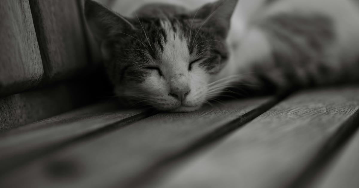 Personne dormant paisiblement