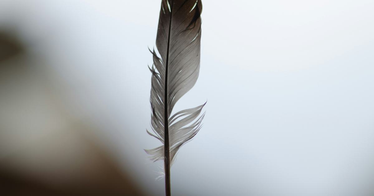 Coussin en plumes
