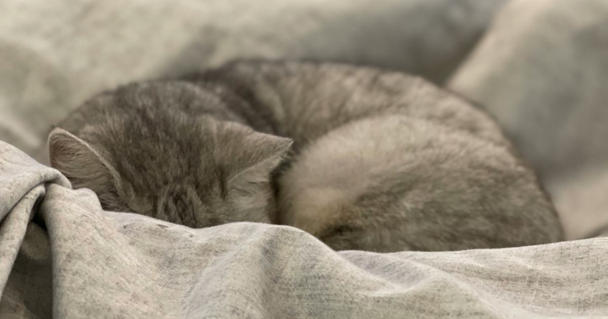 Choisir les Coussins Parfaits pour un Sommeil Paisible