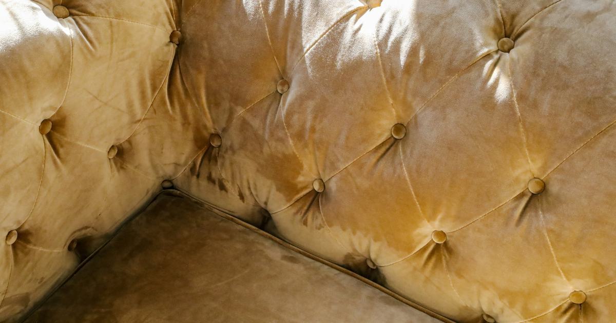 Coussins multicolores sur un canapé