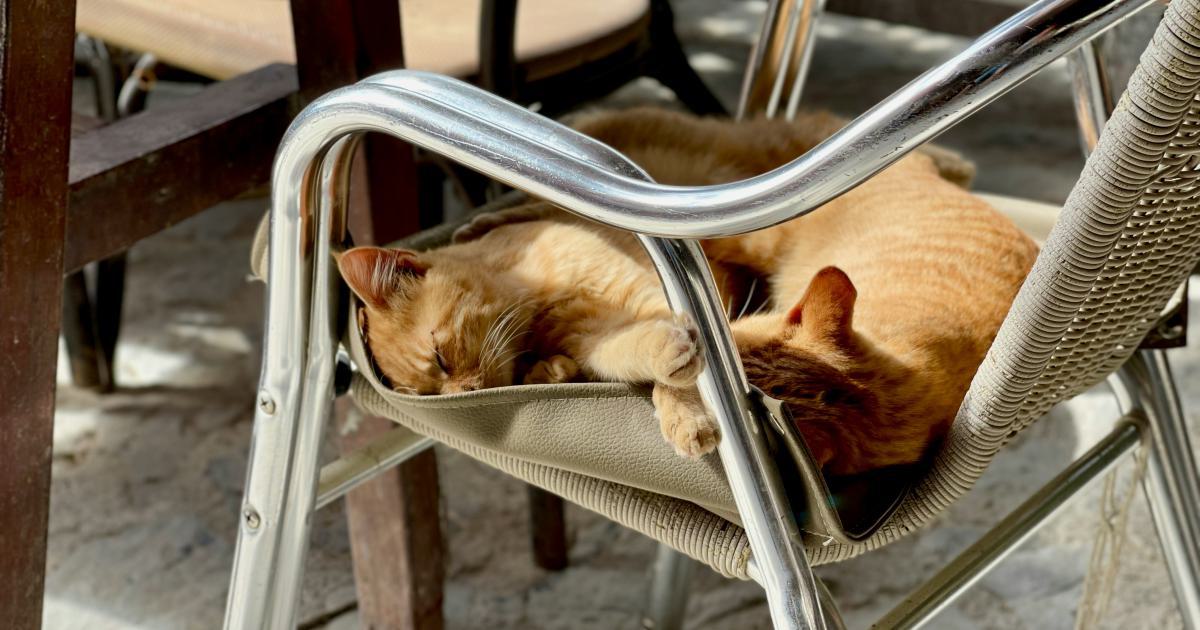 Nettoyage d'un coussin d'extérieur