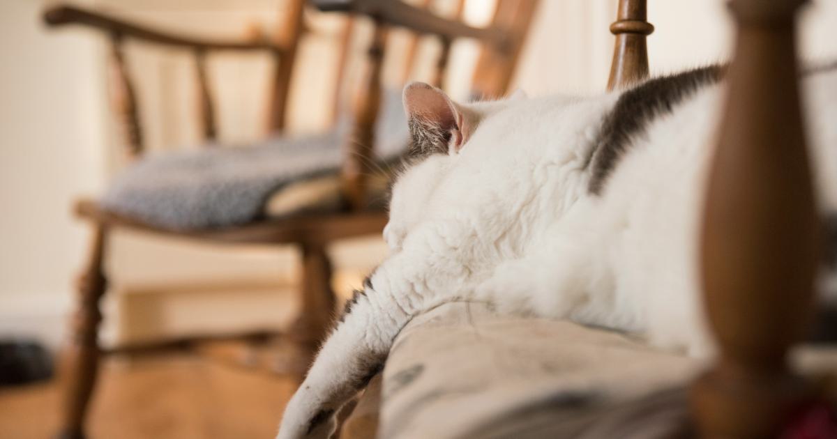 Comfortable Sleep