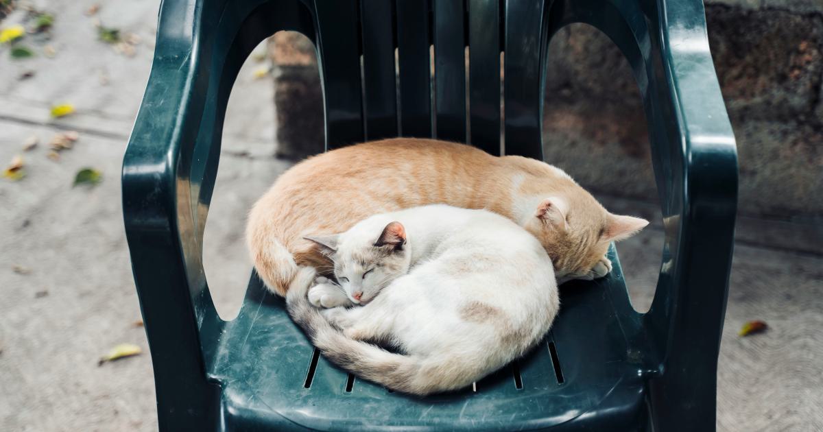 Couple dormant dans des positions différentes