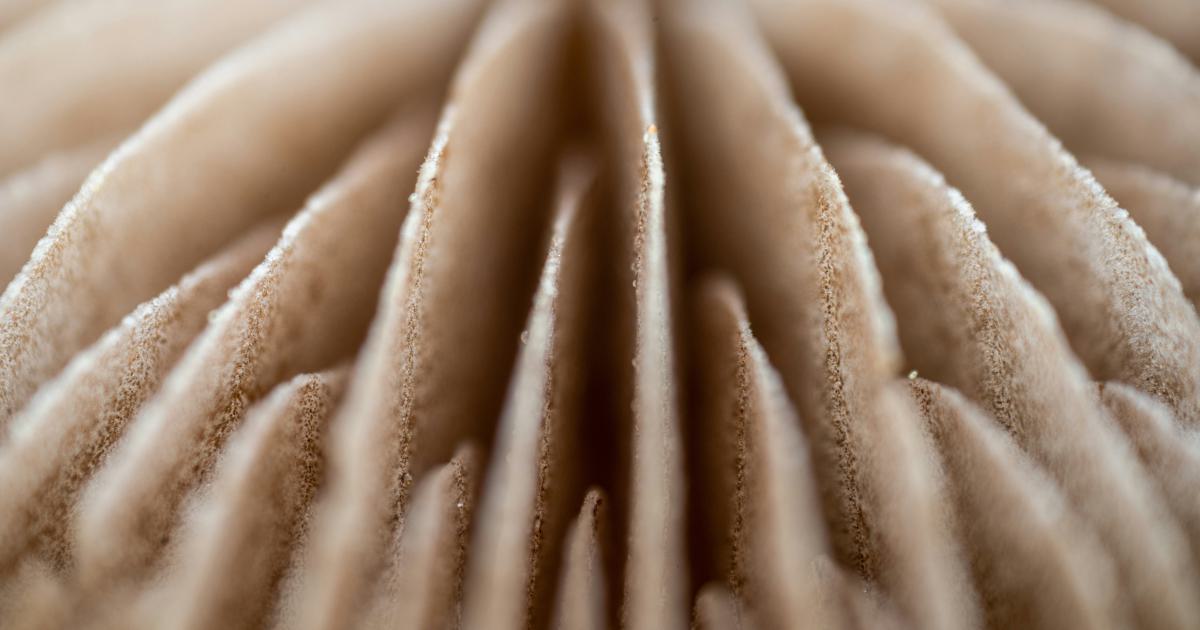 Gros plan sur un matelas en mousse