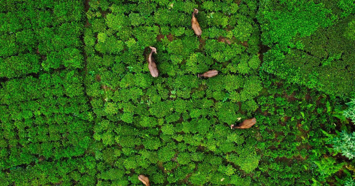 90% des clients satisfaits du matelas ferme écologique anti-acariens