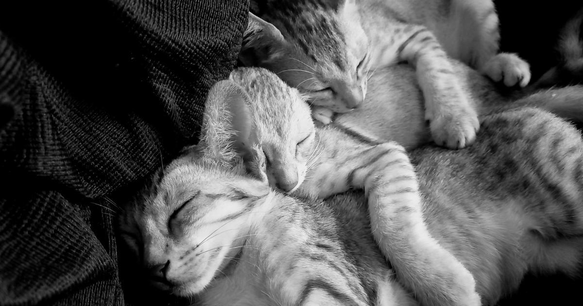 Couple dormant sur un matelas frais