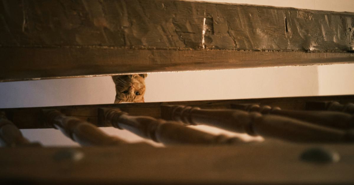 Protection du matelas