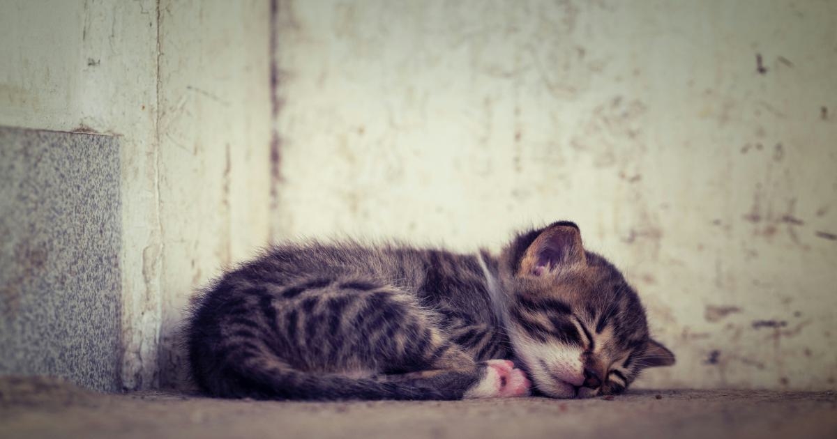 Positions de sommeil