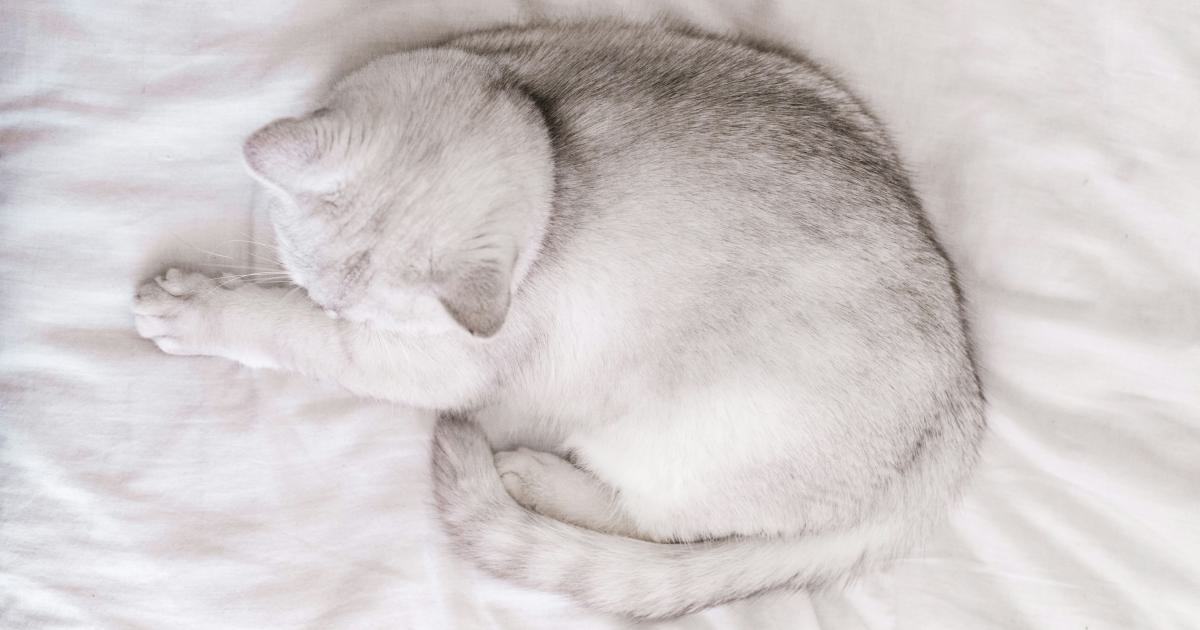 Person Sleeping on Mattress