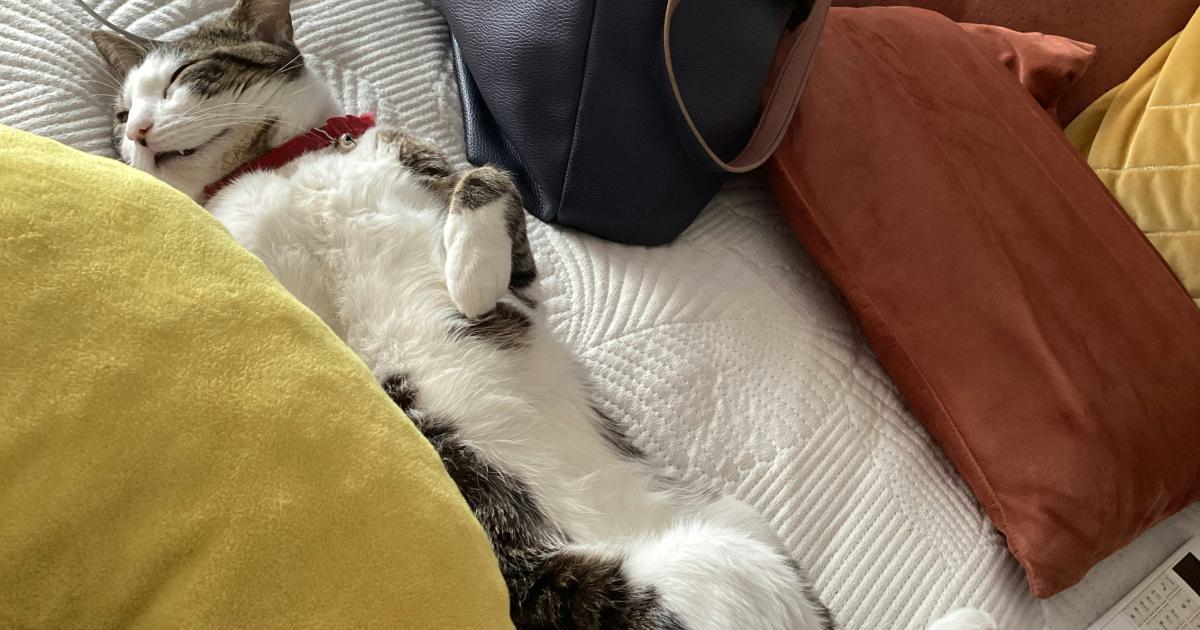 Comment trouver facilement le matelas confortable adapté à votre morphologie ?