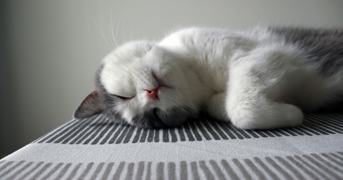 Sleeping Positions