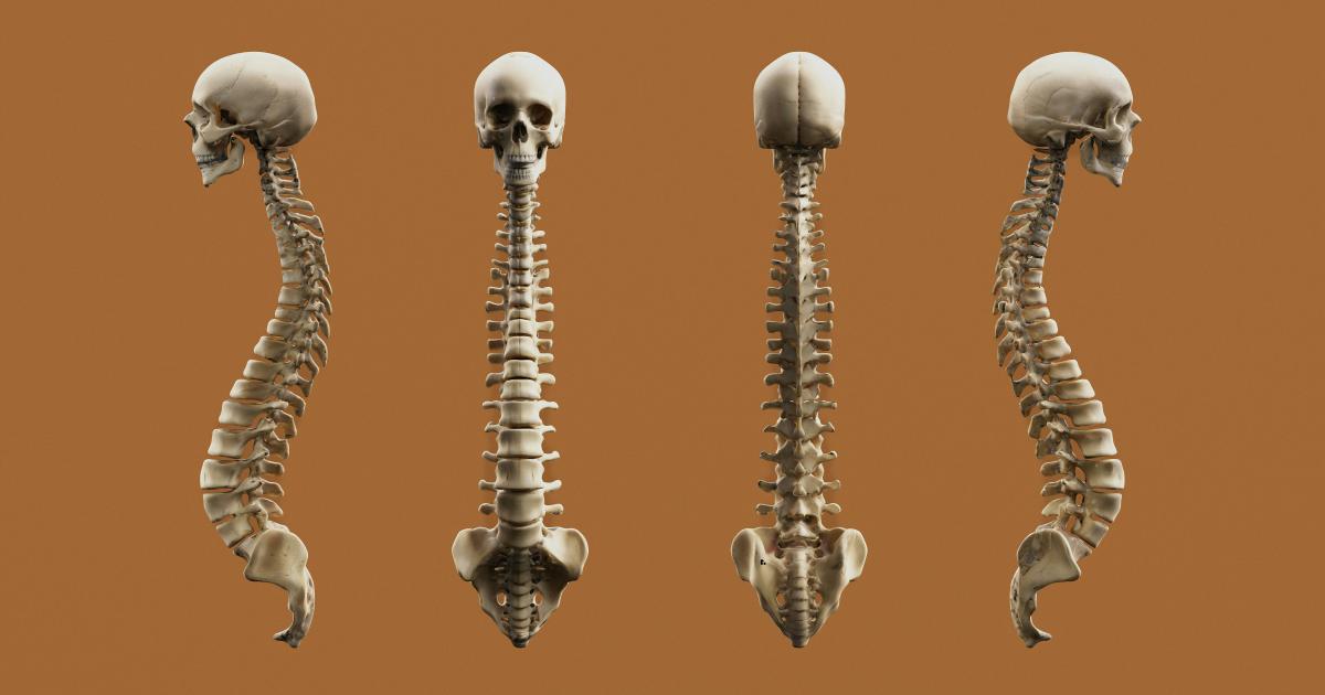 Spine Alignment