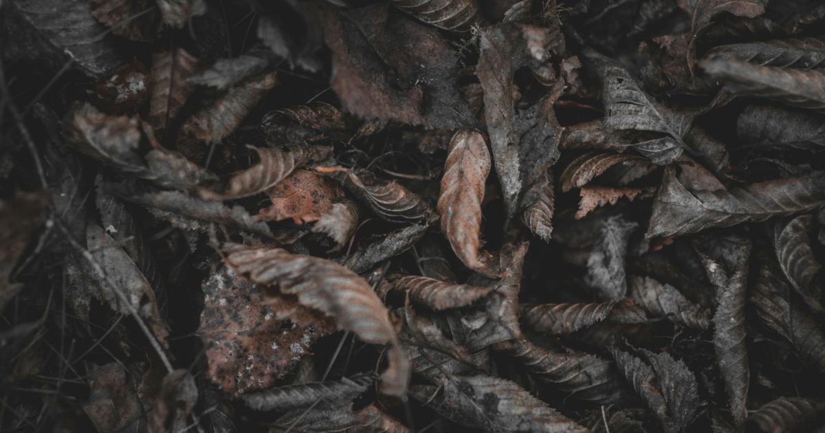 La surprenante vérité derrière les matelas très fermes rebondissants
