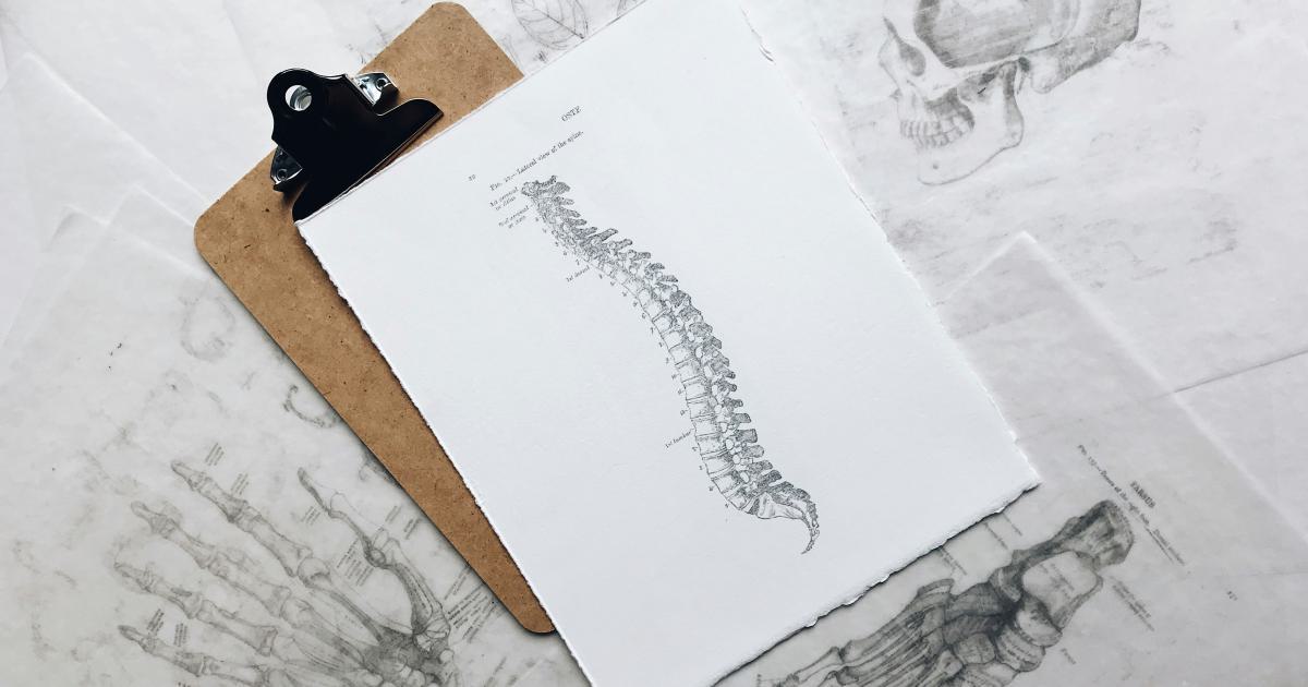 Illustration de l'alignement de la colonne vertébrale