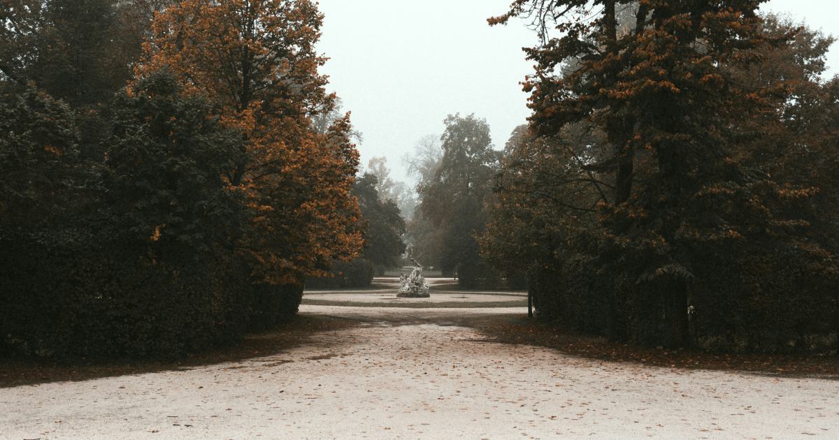 Découvrez la Douceur des Couvre-lits Velours
