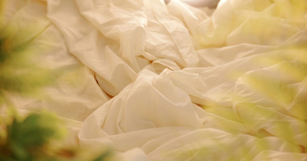 Organic Percale Bedding